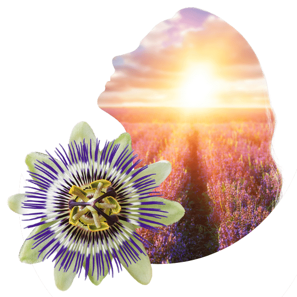 Seelenruhe innerer Frieden Passionsblume