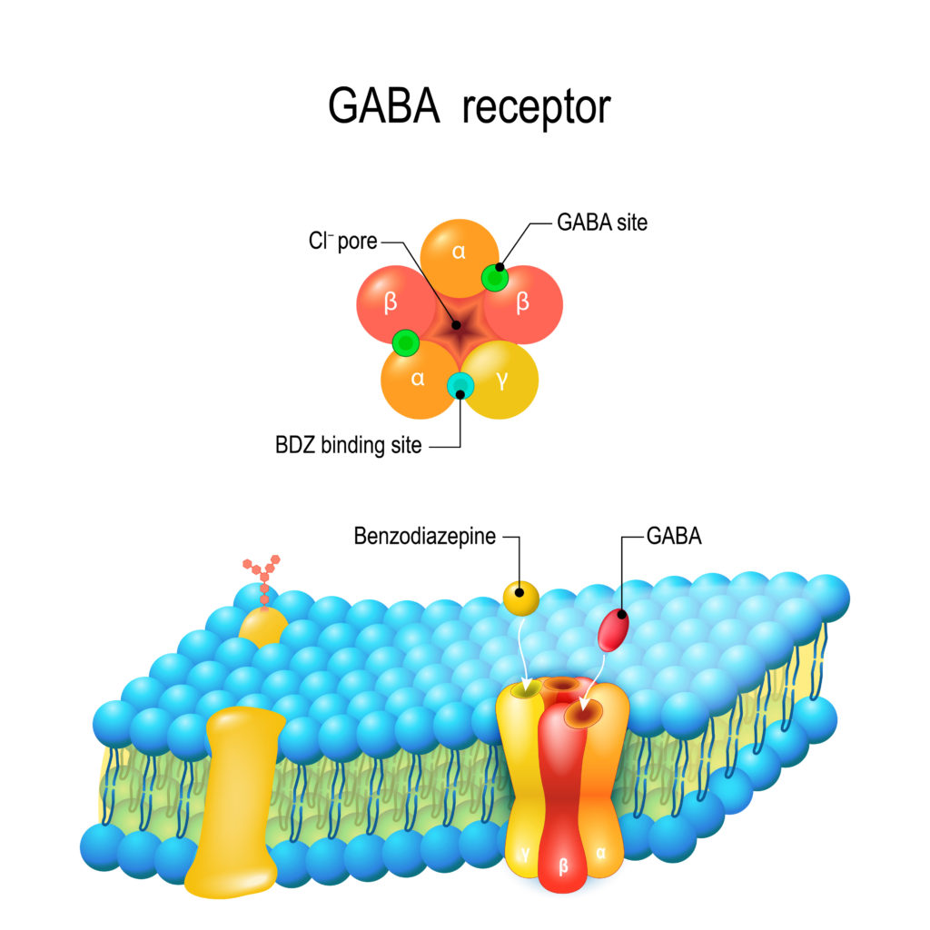 Cell membrane. GABA receptor. Top view of ion channel Passiflora