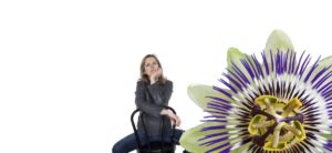 Wechseljahre-Passionsblume hilft